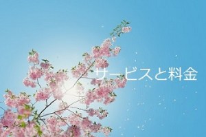 サービスと料金へ