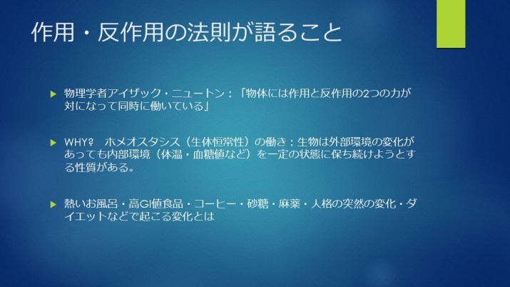 minimallife3血管ー作用反作用